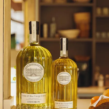 德萨兰城堡庄园酒店 4* 圣特罗佩