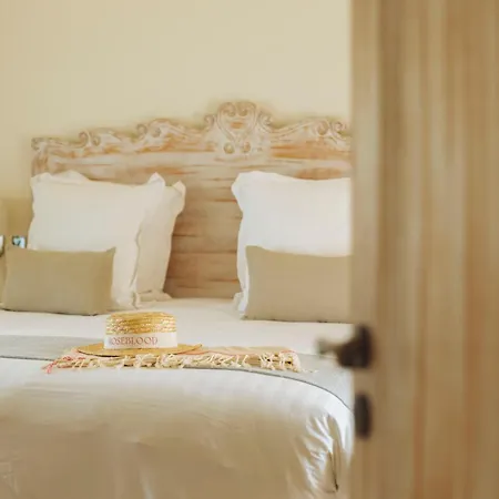 La Bastide Des Salins